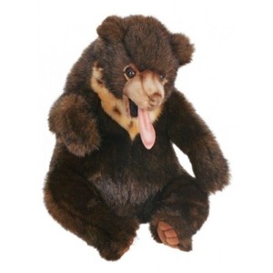 sun bear stuffed animal